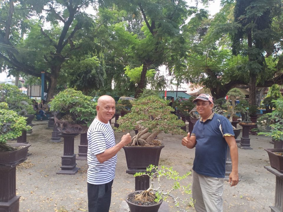 Tim Kementan RI Apresiasi Pameran Bonsai di Rappang, Ini Harapannya