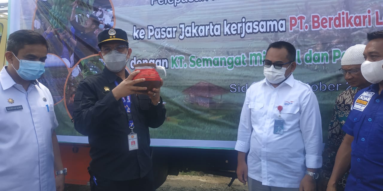Koptan Milenial dan DPC Pemuda Tani HKTI Sidrap Kirim Perdana 2.000 Tandan Pisang ke Jakarta